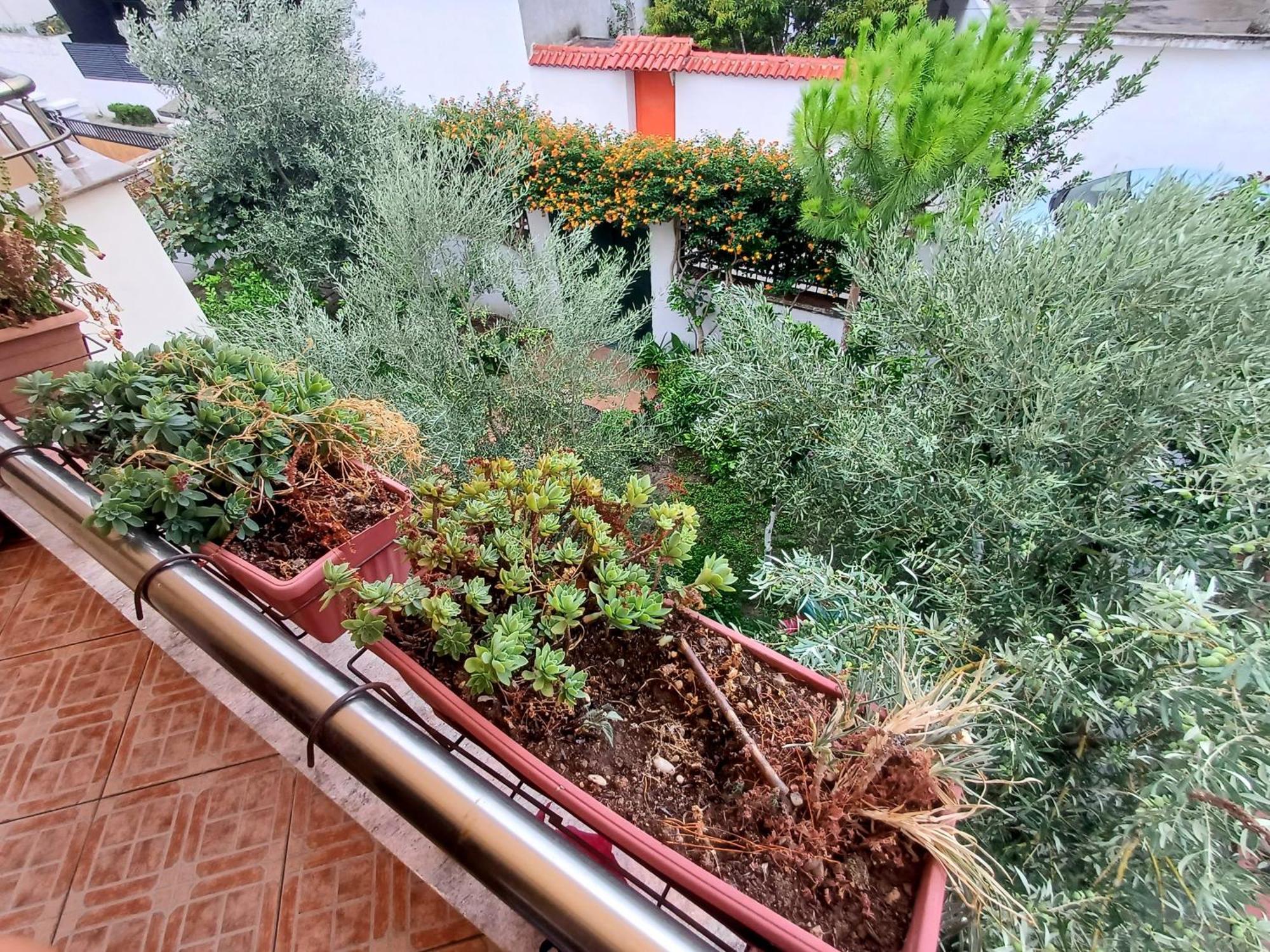 Vlorë Guest Room Near Historical Center מראה חיצוני תמונה